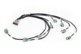 Haltech NEXUS Rebel LS EV6 Injector Sub-Harness thumbnail 3