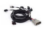 Haltech NEXUS Rebel LS Multec 2 Injector Sub-Harness thumbnail 1