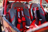 PRP 5.3 Harness- Red thumbnail 7
