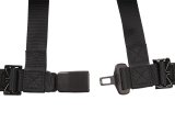 PRP 4.2 Harness- Purple thumbnail 4