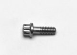 Wilwood Stainless Steel Rotor Bolt - 12pt 1/4-20 X .75 L thumbnail 1