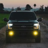 Rigid Industries D-Series SAE Fog Yellow/White Pair thumbnail 8