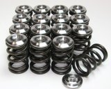 GSC P-D 3SGTE Spring and Titanium Retainer Kit for Shim Under Bucket thumbnail 1