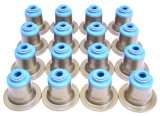 GSC P-D Mitsubishi Evo X 4B11T Valve Stem Seal Set (Set of 16) thumbnail 1