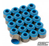 GSC P-D 93-07 Dodge Viper Viton Valve Stem Seals - Set of 20 thumbnail 1