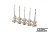 GSC P-D Audi DAZA 33.9mm Head STD 104mm Long Chrome Polished Intake Valve - Set of 10 thumbnail 1