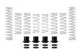 Eibach Pro-UTV 2019 Honda Talon 1000R Stage 2 Performance Springs For OE Fox Shocks thumbnail 2