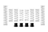Eibach Pro-UTV 2019 Honda Talon 1000R Stage 2 Performance Springs For OE Fox Shocks thumbnail 3