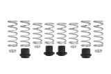 Eibach Pro-UTV 20-21 Polaris General XP 4 1000 Stage 2 Performance Springs thumbnail 1