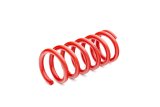 Eibach Sportline Kit for 82-92 Chevrolet Camaro / 82-92 Pontiac Firebird thumbnail 2