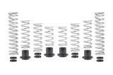 Eibach Pro-UTV 21-23 Honda Talon 1000R Stage 2 Performance Springs thumbnail 1