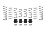Eibach 20-22 Polaris RZR Pro-UTV - Stage 2 Performance Spring System (Set Of 8 Springs) thumbnail 1