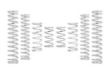 Eibach Can-Am Maverick R X RS Ultimate PRO-UTV Stage 3 Spring System (Set of 8 Springs) thumbnail 4