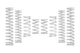 Eibach Can-Am Maverick R X RS Ultimate PRO-UTV Stage 4 Spring System (Set of 8 Springs) thumbnail 1