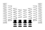 Eibach Pro-UTV 19-23 YAMAHA YXZ1000R SS SE Stage 2 Performance Springs thumbnail 1