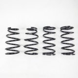 RS-R 18+ Lexus ES300h Down Sus Springs (Special Order Only/No Cancellation) thumbnail 1