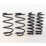 RS-R 08-13 BMW 135i (UC35) Ti2000 Down Springs thumbnail 1