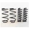RS-R 08-13 BMW 135i (UC35) Ti2000 Down Springs thumbnail 3