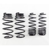 RS-R 09-13 Honda Fit (GE8) Super Down Springs thumbnail 1