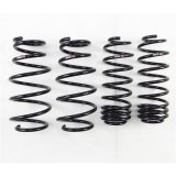 RS-R 09-13 Honda Fit (GE8) Down Sus Springs thumbnail 1