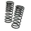RS-R 13+ Nissan Altima (L33) Down Sus Springs thumbnail 2