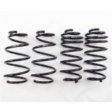 RS-R 11+ Toyota Prius C (NHP10) Down Sus Springs thumbnail 1