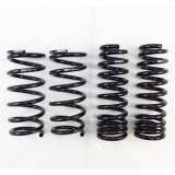 RS-R 2014-2020 Lexus IS250/350 RWD (GSE30/GSE31) Down Sus Springs thumbnail 1