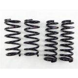 RS-R 2014-2020 Lexus IS250/350 AWD (GSE36) Down Sus Springs thumbnail 1