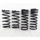 RS-R 05-13 Lexus IS250/350 RWD (GSE20/GSE21) Down Sus Springs thumbnail 1