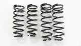 RS-R 01-06 Lexus LS430 (UCF30/31) Super Down Springs thumbnail 1