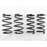RS-R 2011-2020 Toyota Sienna AWD (GSL35) Ti2000 Down Springs thumbnail 1