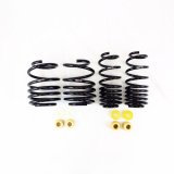 RS-R 2023+ Honda Civic Type R (FL5) Down Sus Springs thumbnail 1
