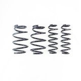 RS-R 2022+ Lexus NX350h FWD / NX350 AWD Down Sus Springs thumbnail 1