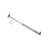 Bilstein B6 99-04/06-13 Ford F53 Steering Damper thumbnail 1
