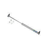 Bilstein B6 99-04/06-13 Ford F53 Steering Damper thumbnail 5