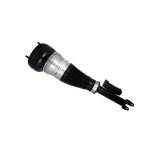 Bilstein B4 OE Replacement 14-16 Mercedes-Benz S550 Front Left Air Suspension Spring thumbnail 6