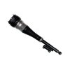Bilstein 18-19 Mercedes-Benz S450 B4 OE Replacement Air Suspension Strut - Rear Right thumbnail 6