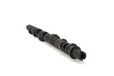 Skunk2 Tuner Series D-Series Honda Stage 4 Camshaft thumbnail 1