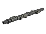 Skunk2 Tuner Series D-Series Honda Stage 4 Camshaft thumbnail 6