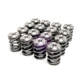 Skunk2 Alpha Series Honda/Acura B Series Valve Spring and Titanium Retainer Kit thumbnail 2
