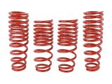 Skunk2 94-01 Acura Integra Lowering Springs (2.50in - 2.25in.) (Set of 4) thumbnail 3