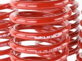 Skunk2 94-01 Acura Integra Lowering Springs (2.50in - 2.25in.) (Set of 4) thumbnail 4