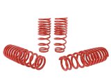 Skunk2 94-01 Acura Integra Lowering Springs (2.50in - 2.25in.) (Set of 4) thumbnail 6