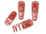Skunk2 94-01 Acura Integra Lowering Springs (2.50in - 2.25in.) (Set of 4) thumbnail 8
