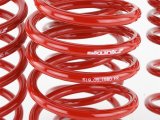 Skunk2 06-11 Honda Civic Lowering Springs (2.25in - 2.00in.) (Set of 4) thumbnail 6