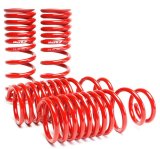 Skunk2 88-91 Honda Civic/CRX Lowering Springs (2.50in - 2.25in.) (Set of 4) thumbnail 1