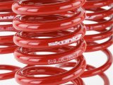 Skunk2 88-91 Honda Civic/CRX Lowering Springs (2.50in - 2.25in.) (Set of 4) thumbnail 5