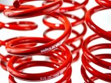 Skunk2 12 Honda Civic Lowering Springs (2.25 - 2.00in) (Set of 4) thumbnail 4