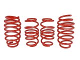 Skunk2 12 Honda Civic Lowering Springs (2.25 - 2.00in) (Set of 4) thumbnail 6