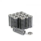 Skunk2 Alpha Series Honda/Acura D Series Valve Spring and Titanium Retainer Kit thumbnail 3